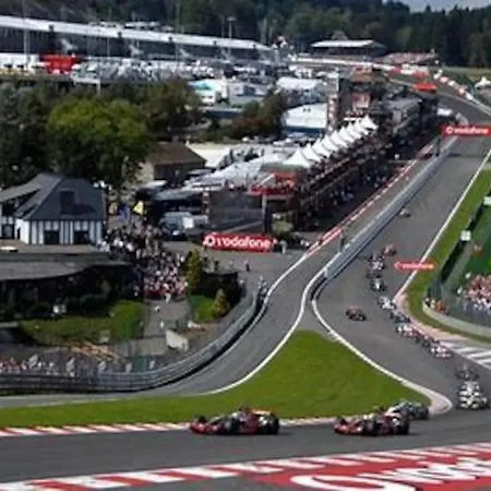 Willa Happiness At Vero