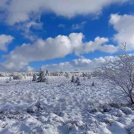 Happiness At Vero Verviers