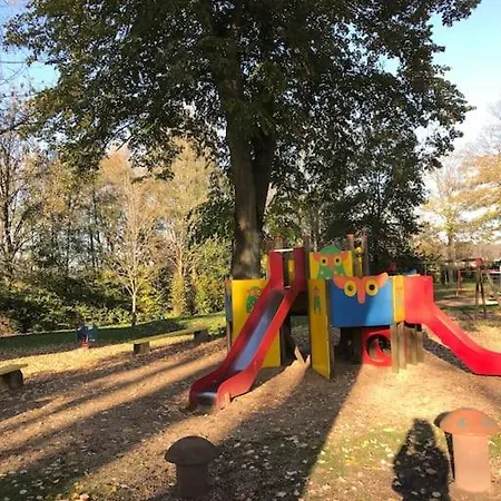 Willa Happiness At Vero